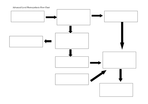 Photosynthesis: Advanced Level Flow Chart (Blank and Filled in)