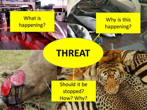 Threats to wildlife lesson (poaching)