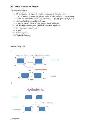 From 2015 AS Biology Lesson 1 Monomers and polymers