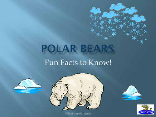 Polar Bears - Fun Facts About Polar Bears PowerPoint
