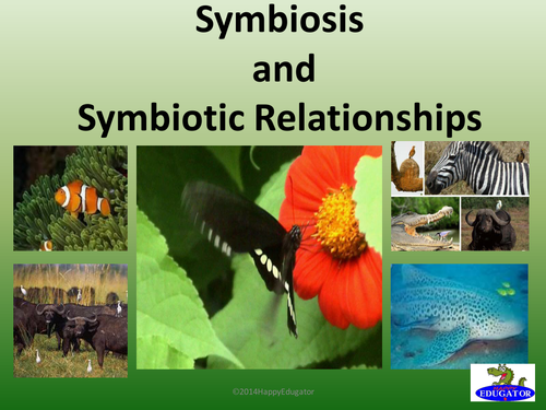 Symbiosis - Symbiotic Relationships PowerPoint