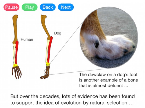 Evolution by Natural Selection (Video)