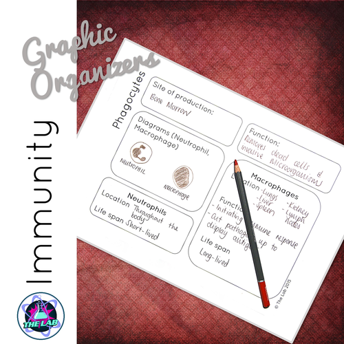 Immunity Graphic Organizers
