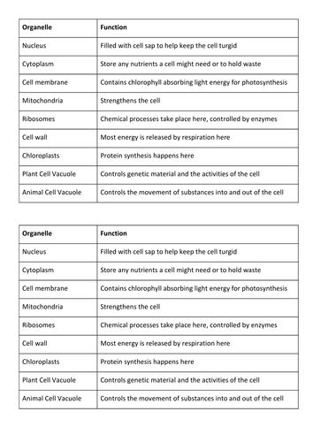 Organelle & Function Card Sort | Teaching Resources