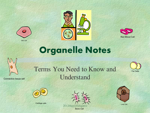 Organelles PowerPoint Presentation 