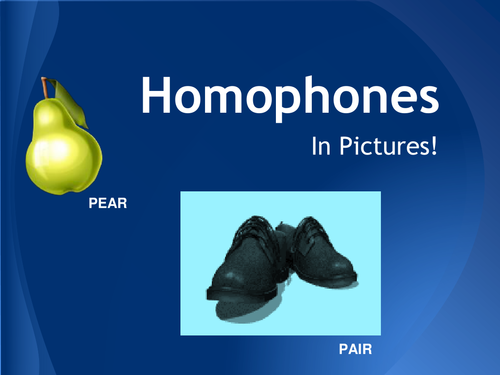 Homophones in Pictures PowerPoint 