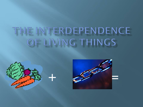 Interdependence of Living Things PowerPoint 