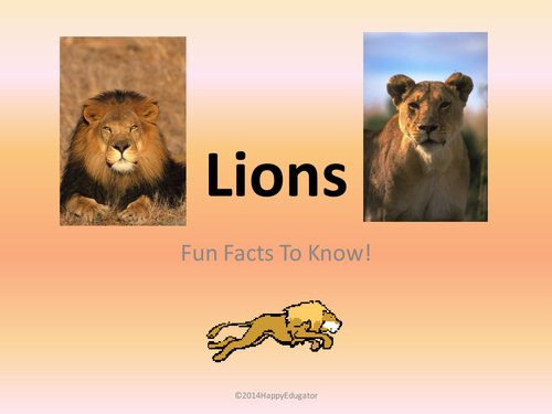 Lions - Fun Facts About Lions PowerPoint
