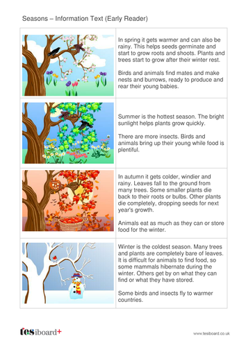 Seasons ks1 video image