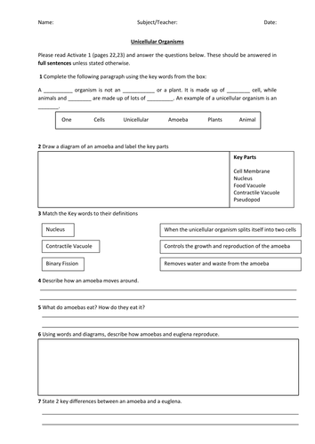 Unicellular Organisms Worksheet - Year 7