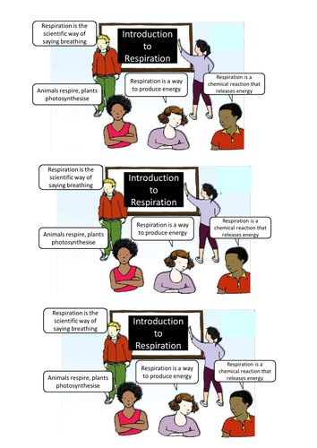 Introduction to Respiration