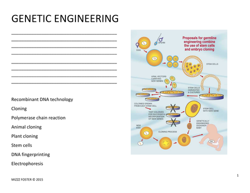 Genetic Engineering Worksheet and Answer Key