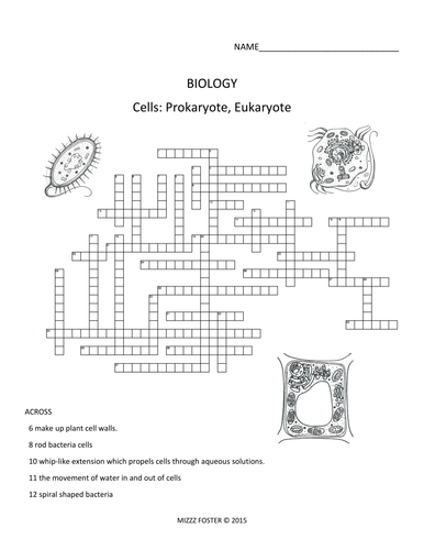 Mizzzfoster's Shop - Teaching Resources - TES