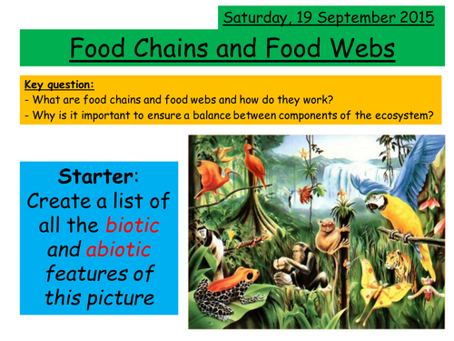 Food Chains and Food Webs