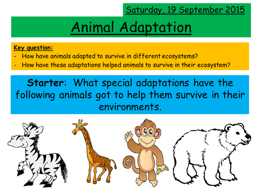 Top 186 + Animal adaptation chart - Inoticia.net