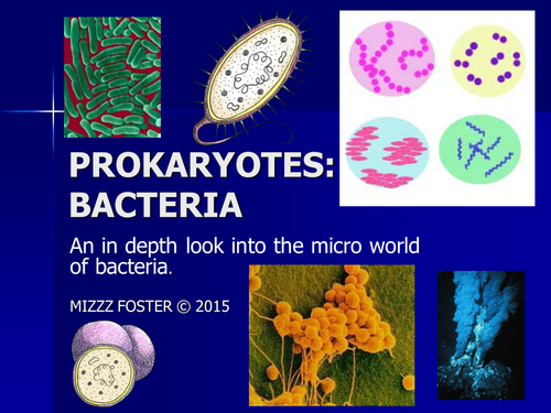 Prokaryote: Bacteria Bundle with Power point, worksheets and answer key