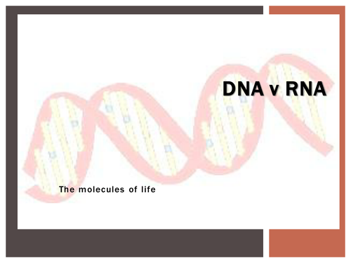 DNA v RNA