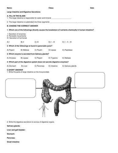 AP Biology