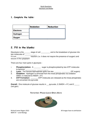 Glycolysis Quick Quiz (With Answers)