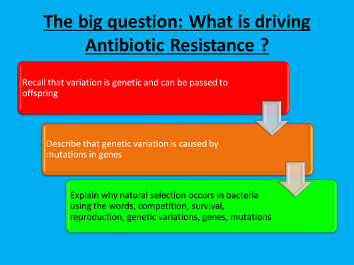 Antibiotic Resistance 
