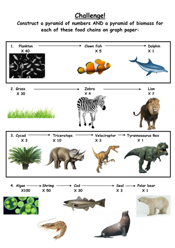 12-pdf-scale-drawing-worksheet-ks2-printable-download-docx-worksheetdrawing