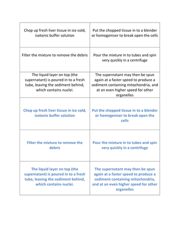 AS Biology Differential centrifugation card sort