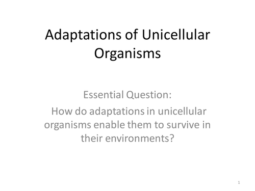 New KS3 content worksheets