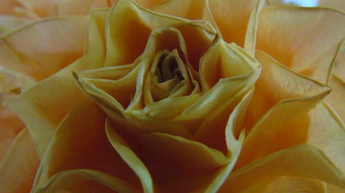 Photography critical study sheet 