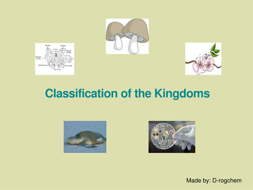 Biology: ecology - matching kingdoms and definitions