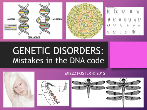 Genetic Disorders: Mistakes in the DNA code, DNA mutations Bundle: Power Point, Worksheets and Key