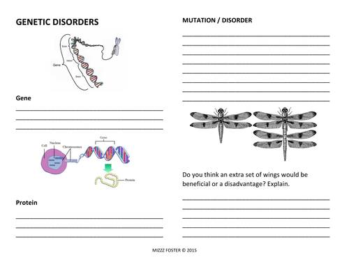 Genetic Disorders: Mistakes in the DNA code, DNA mutations Worksheets