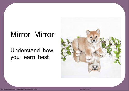 Mirror Mirror! Understand how you learn best