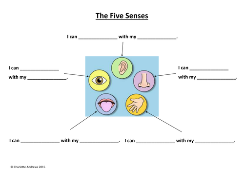 The Five Senses Worksheets Teaching Resources 9258