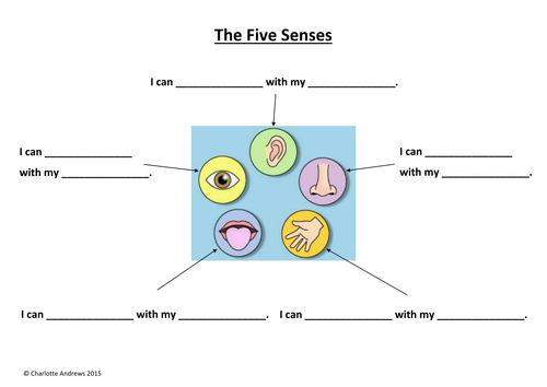 The Five Senses Worksheets