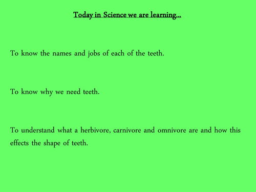 Animal Skulls - TEETH - Carnivore & Herbivore 