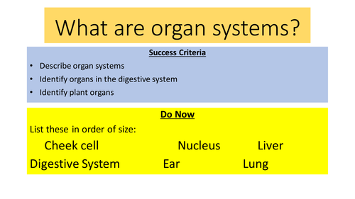 AQA Organ Systems