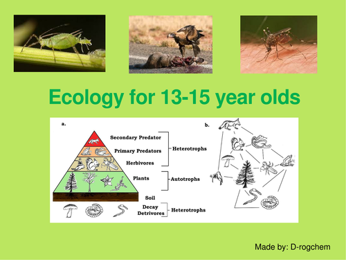 Biology: Ecology - Organisms and their environment for 13-15 year olds.