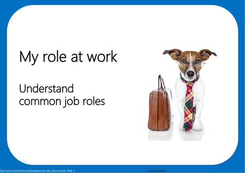 My role at work: Understand common job roles
