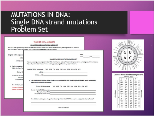 Mutations in DNA: Single strand DNA mutations Problem Set