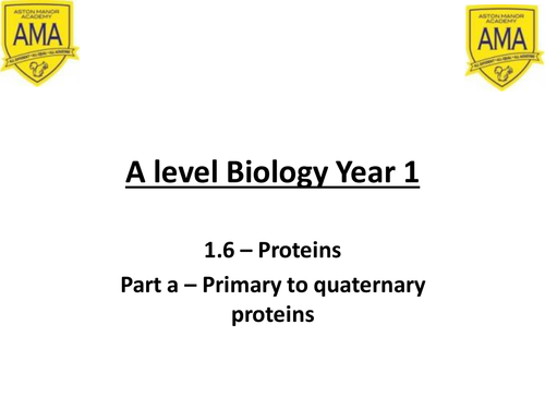 AQA A level Biology new spec year 1 1.6 Proteins