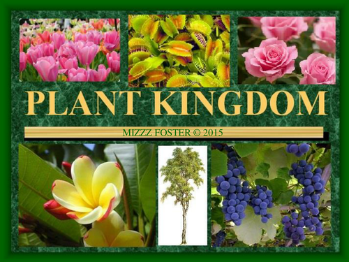 Plant Kingdom Power Point and Chart with Key 