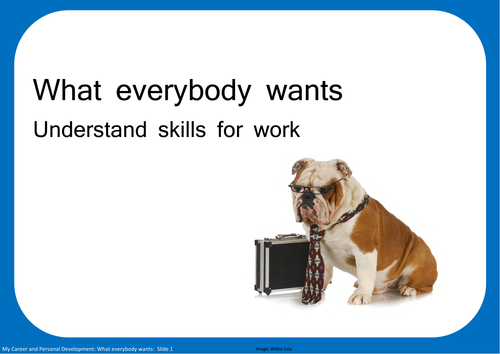 What everybody wants: Understand skills for work
