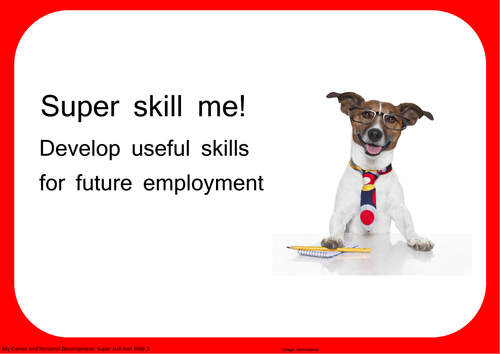 Super skill me! Develop useful skills for future employment