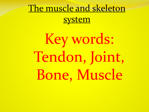 Muscles, the skeleton and breathing