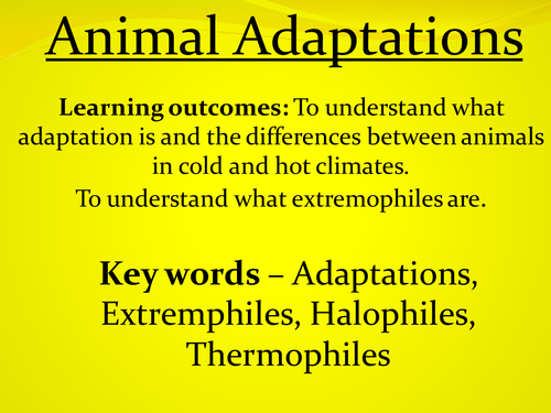 Plant and animal adaptation