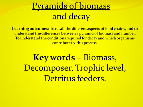 Biomass and decay