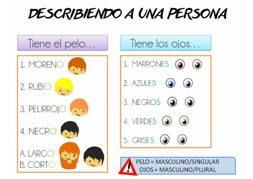 Spanish basic description Level A1 Physical descriptions. Game/Review activity 