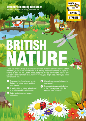 WoW October 15 - British Nature KS1