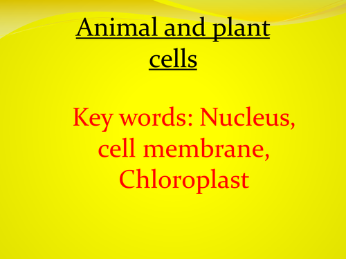 Year 7/8 cells, and microscopes. 