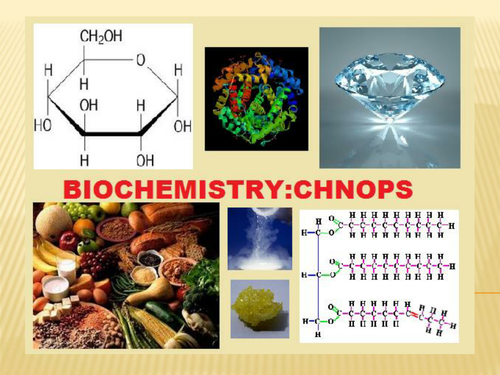 Biomolecule with CHNOPS Power Point